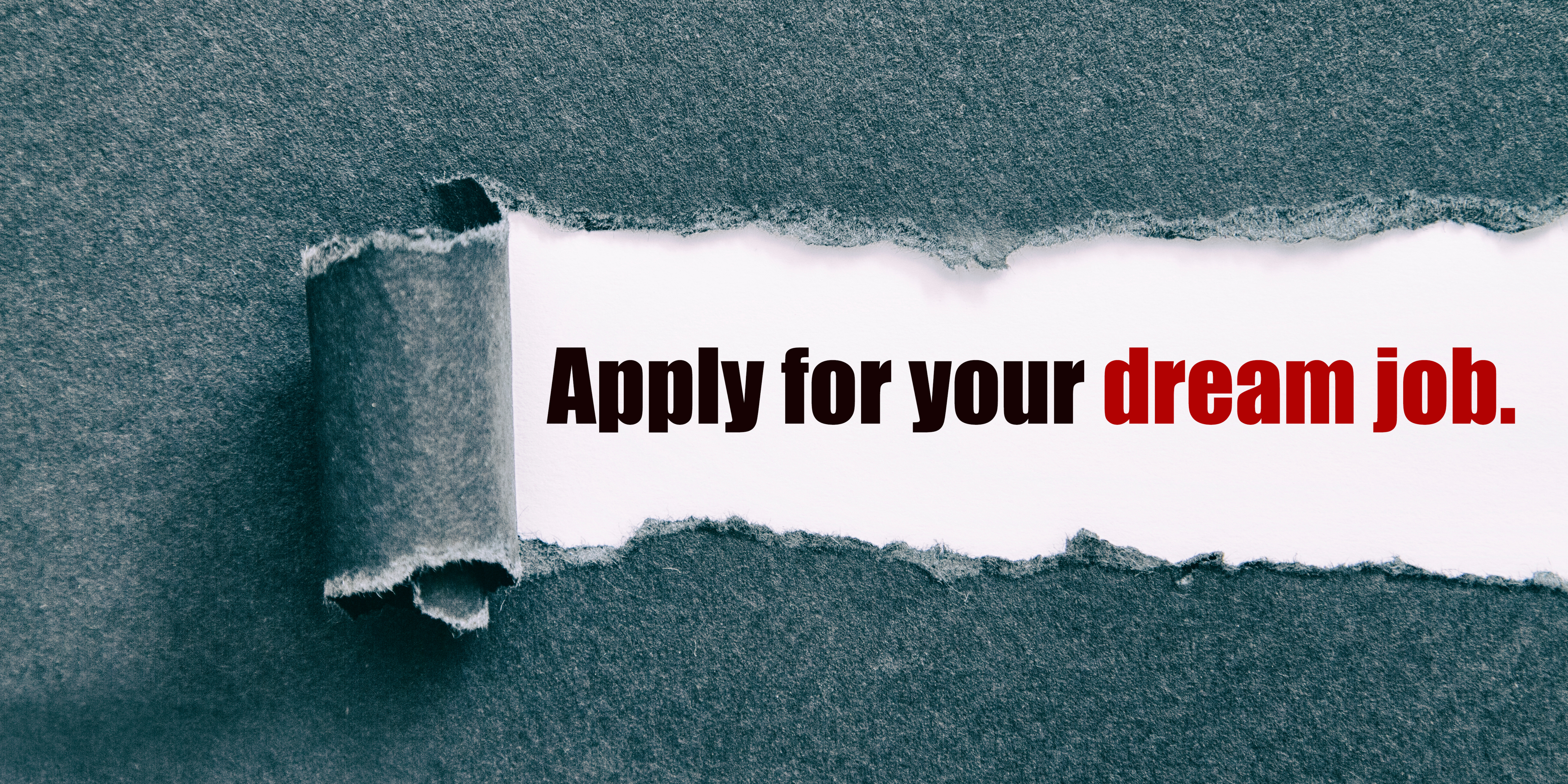 Are hiring managers hindering your success applying for jobs with their companies?