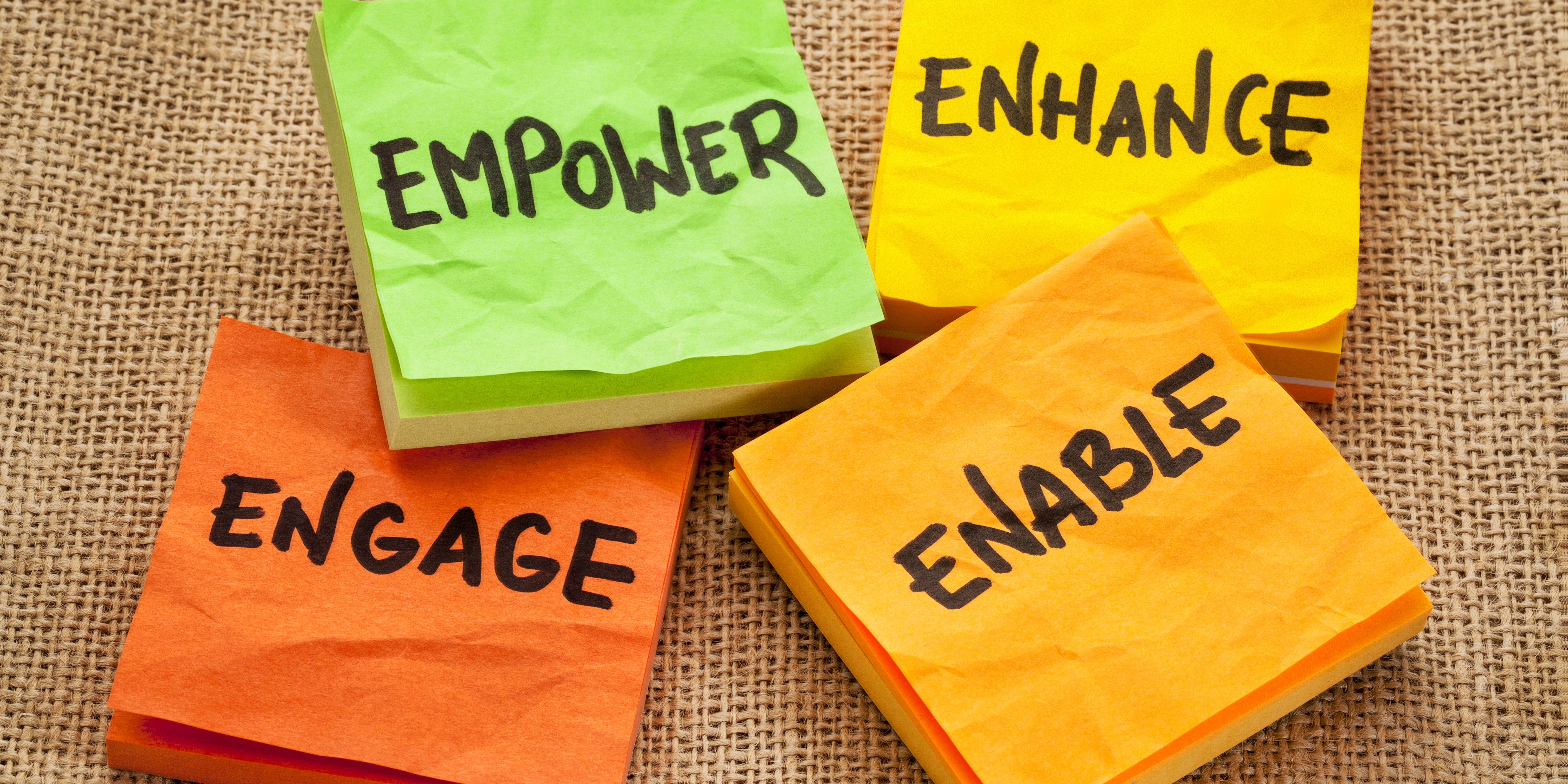 Leadership and Management Development on a Budget: Strategies for Success