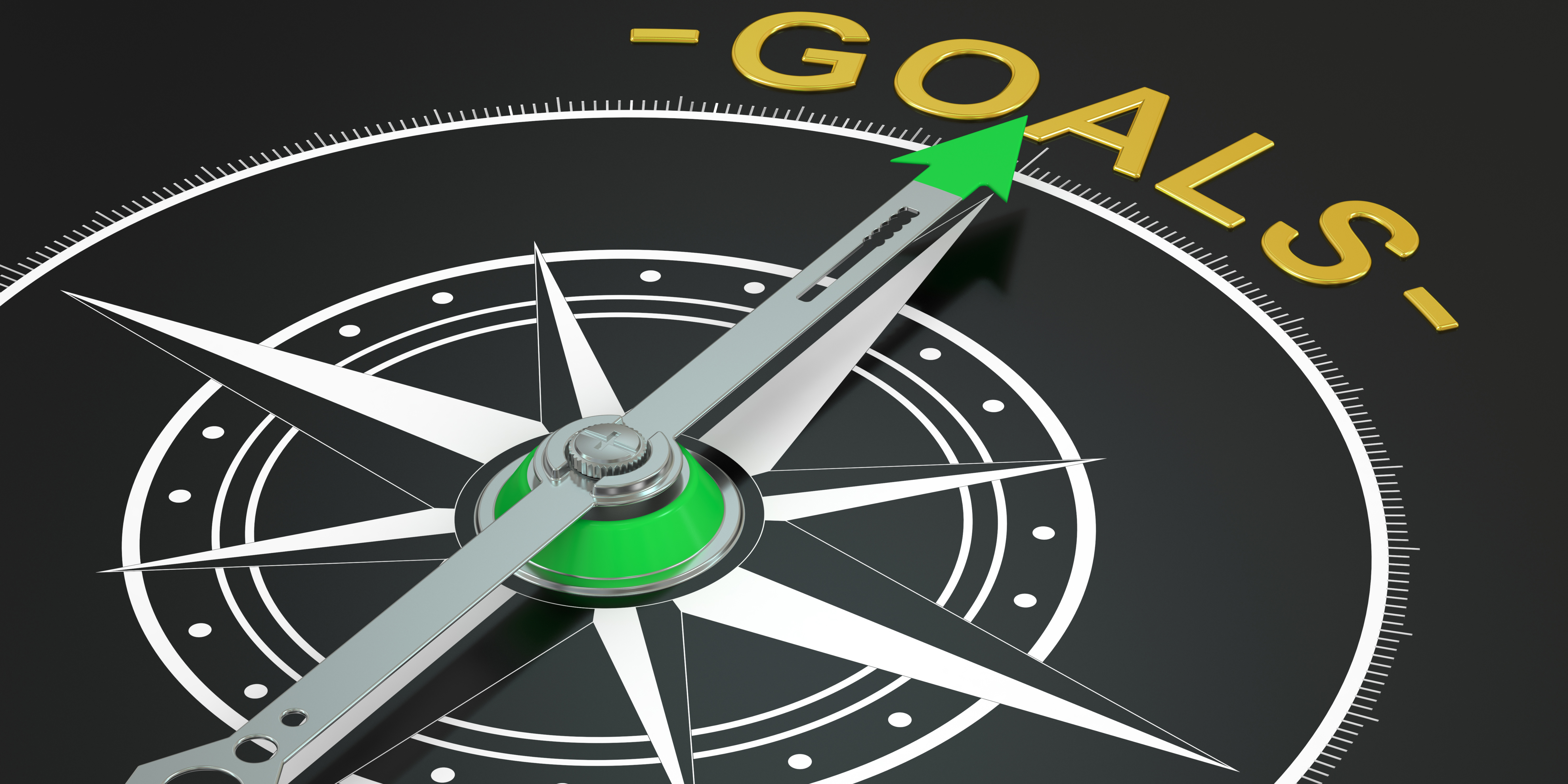 Building a Successful Career Path