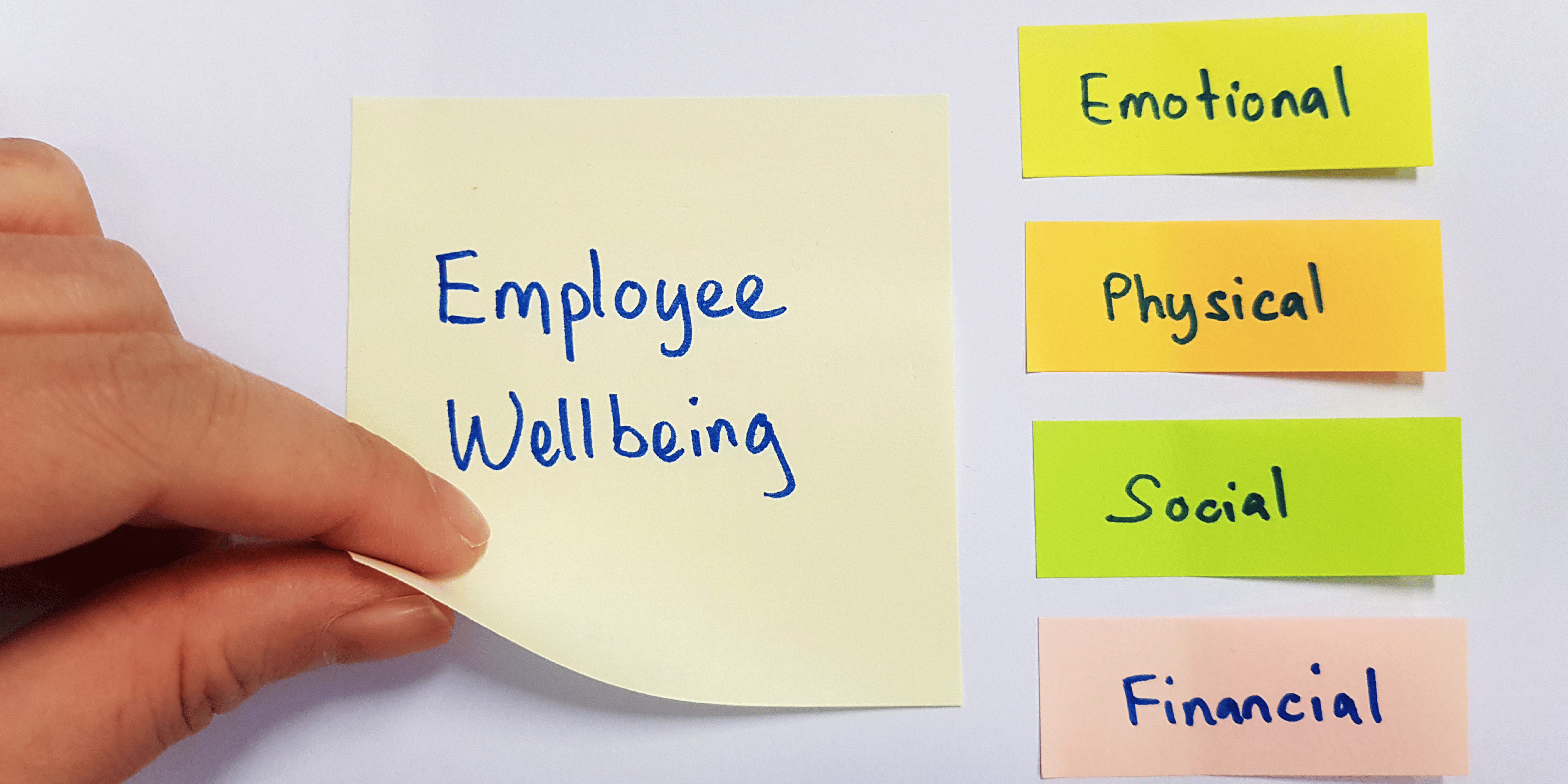 Fostering Employee Well-Being: Celebrating National Wellness Month