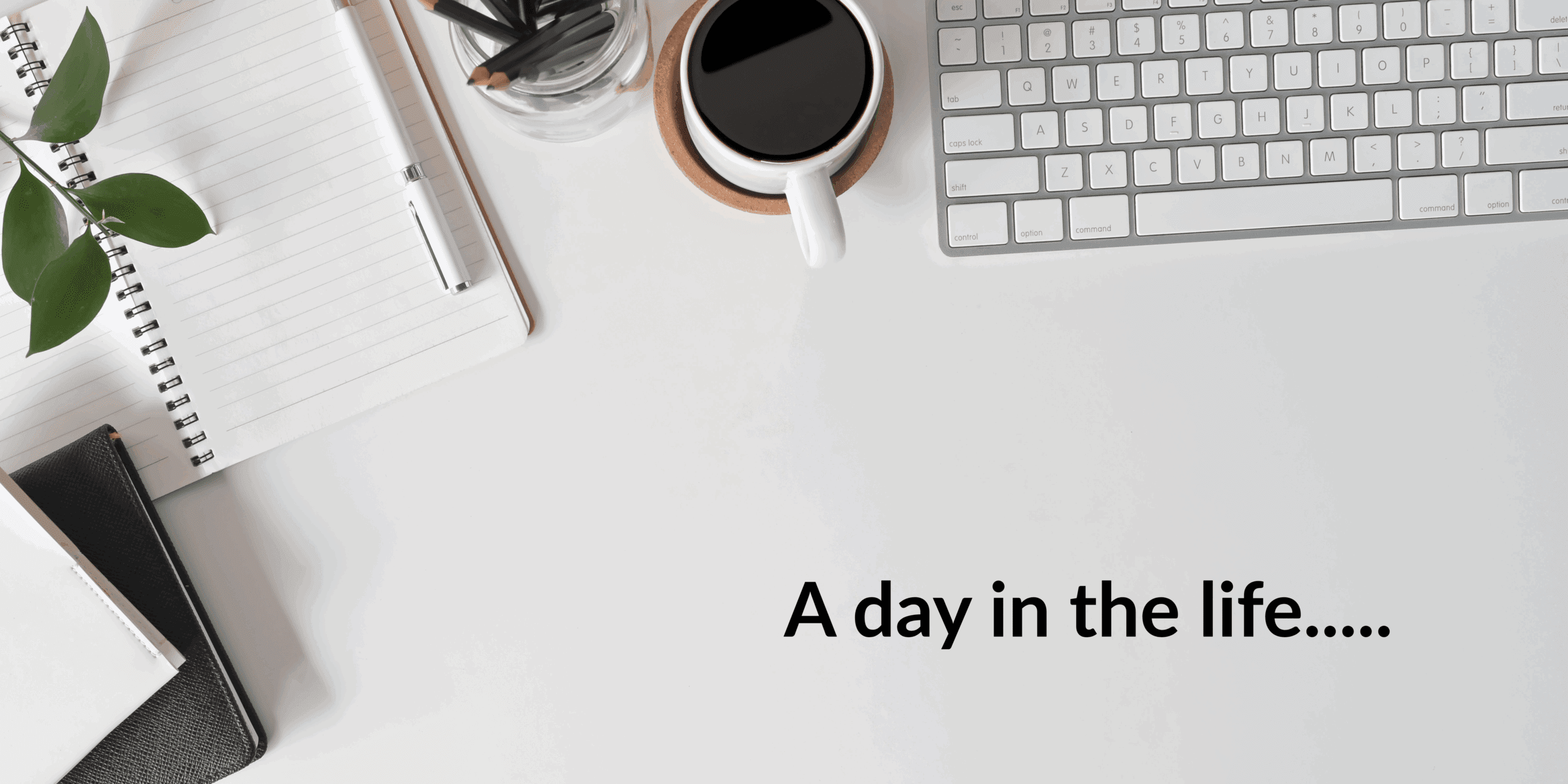 A day in the life of Suzanne Sherriff, Director of HR, Office & Commercial Recruitment