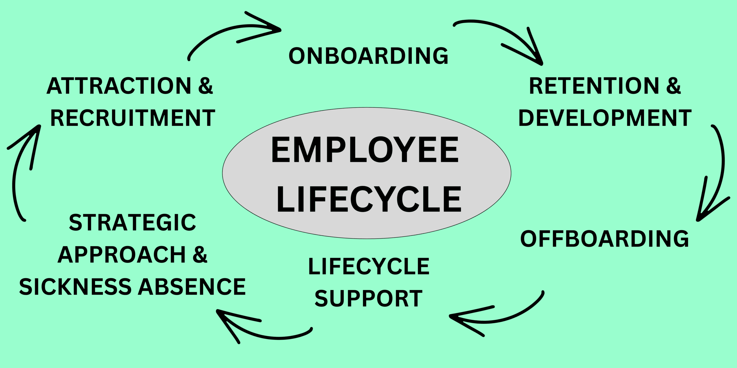 Understanding the Employee Lifecycle