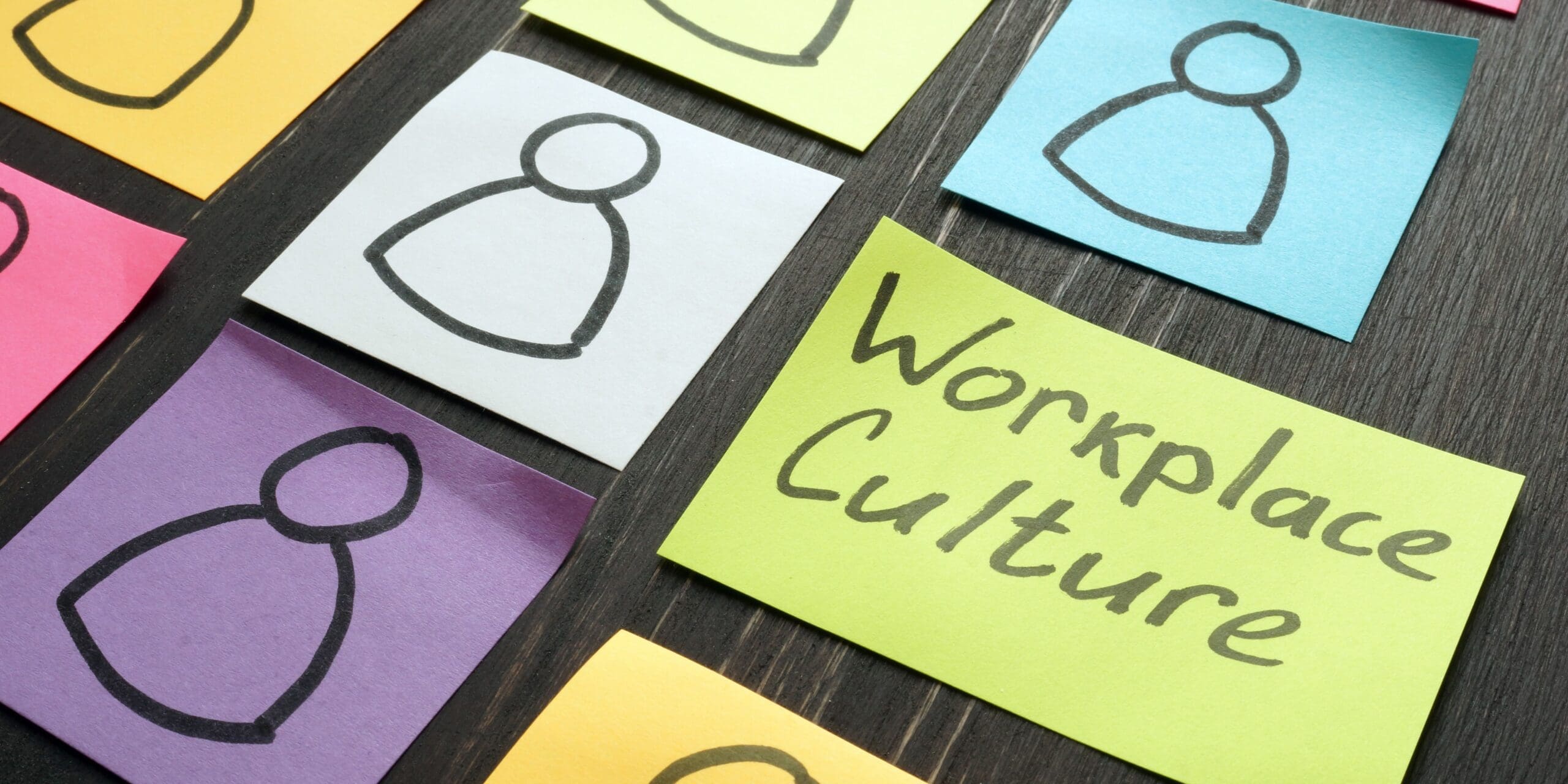 Cultural Fit vs. Company Culture
